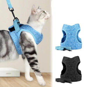 Adjustable Harness Pet Vest