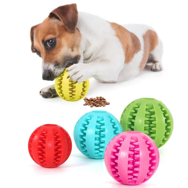 Ball Interactive Pet Toys