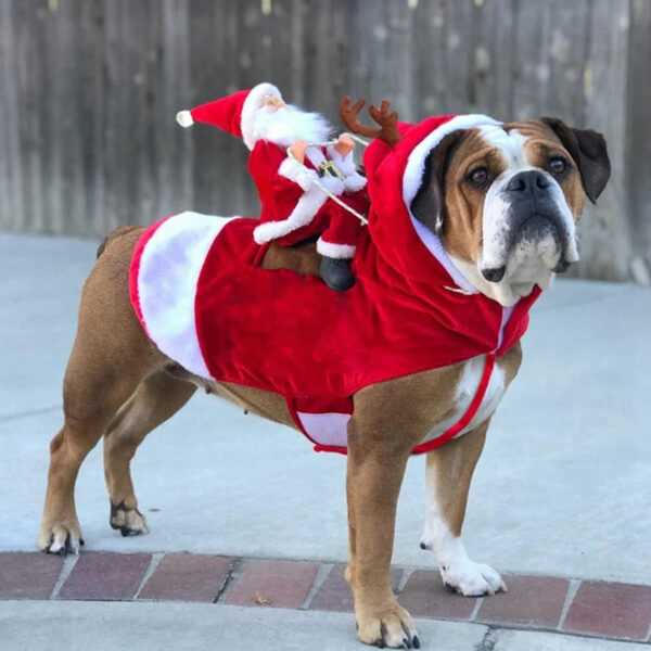 Christmas Pet Costumes