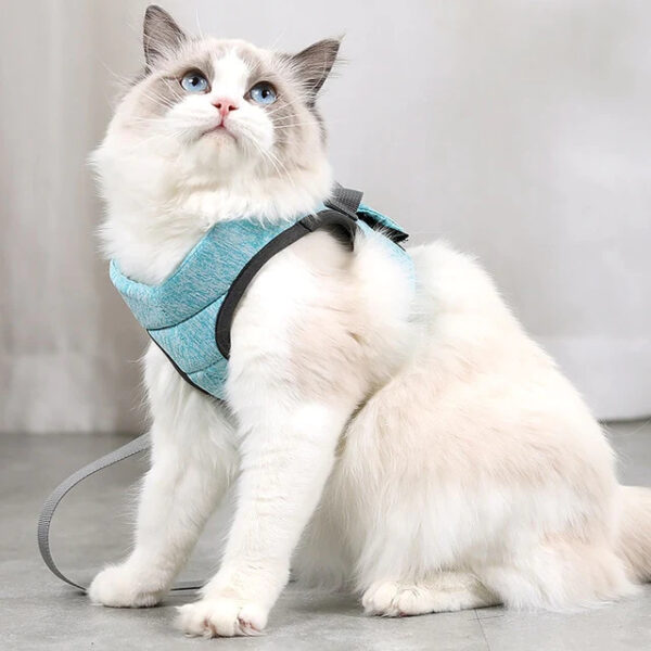 Green Adjustable Harness Pet Vest