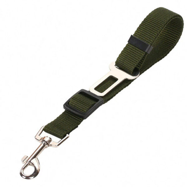 Green Pet Car Seat Belts