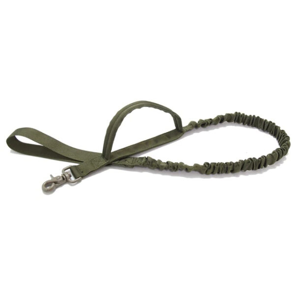 Green Tactical Bungee Pet Leash