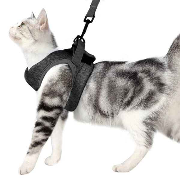 Grey Adjustable Harness Pet Vest