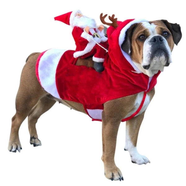 Maroon Christmas Pet Costumes