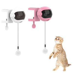 New Electric Cat Toy