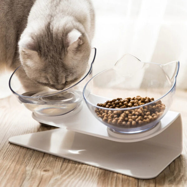 Pet Slow Feed Spine Bowl