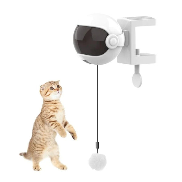 White New Electric Cat Toy