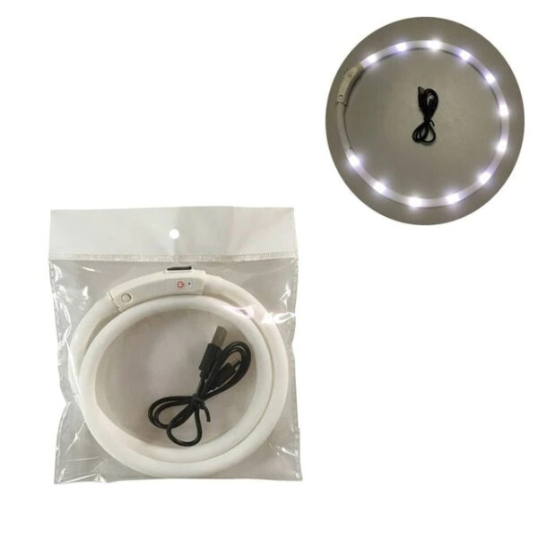 White Pet LED Dog Collar